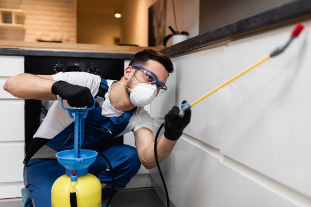 Best Pest Control for Restaurants  in Terrell Hills, TX