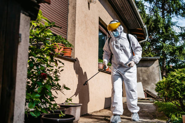 Best Mosquito Control Services  in Terrell Hills, TX