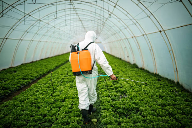 Best Pest Control Near Me  in Terrell Hills, TX