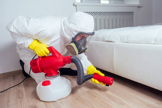Best Flea Control Services  in Terrell Hills, TX