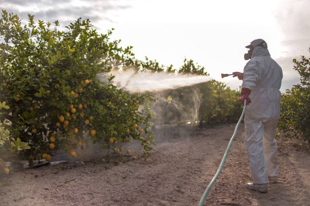 Best Pest Prevention Services  in Terrell Hills, TX