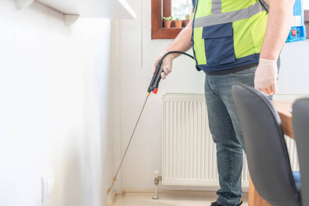 Best Affordable Pest Control Services  in Terrell Hills, TX