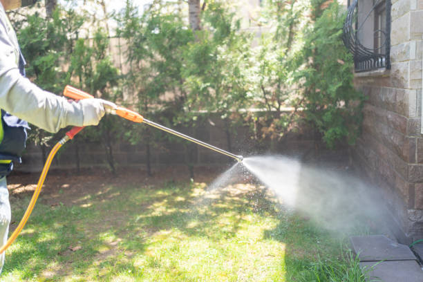 Best Pest Inspection Near Me  in Terrell Hills, TX