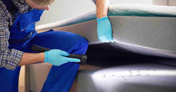 Best Termite Control Services  in Terrell Hills, TX