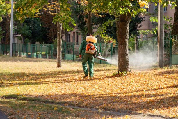 Best Cockroach Control Services  in Terrell Hills, TX